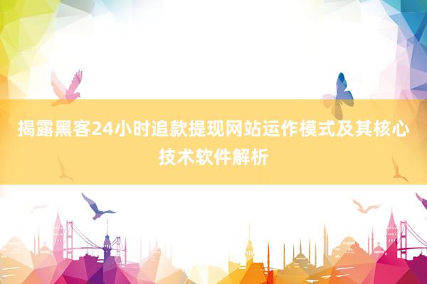 揭露黑客24小时追款提现网站运作模式及其核心技术软件解析