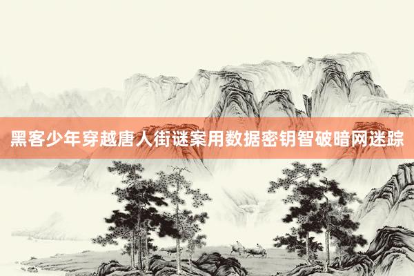 黑客少年穿越唐人街谜案用数据密钥智破暗网迷踪